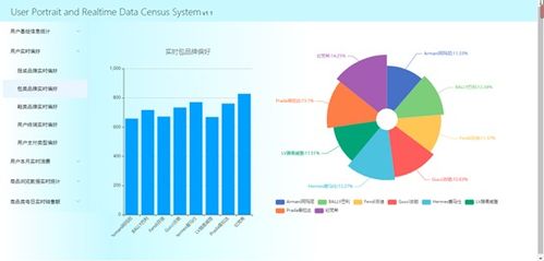 基于flink的个人装扮商城群体用户画像与数据实时统计系统 一 项目展示